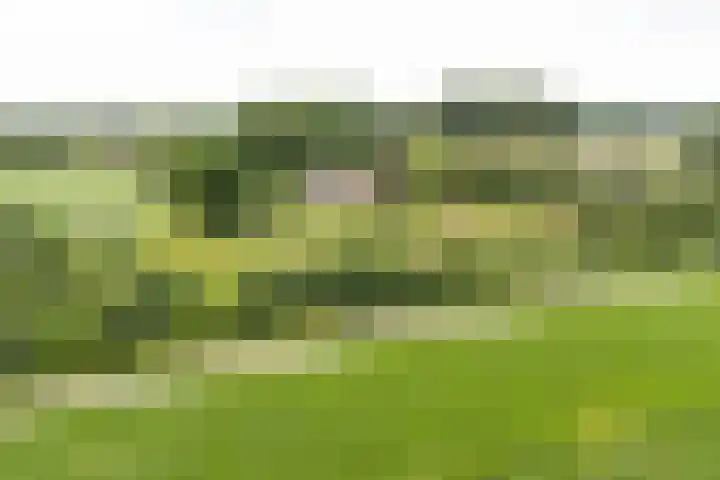 Blankersweg 3 Winterswijk Kotten thumbnail 84