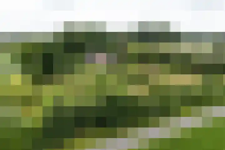 Blankersweg 3 Winterswijk Kotten thumbnail 99