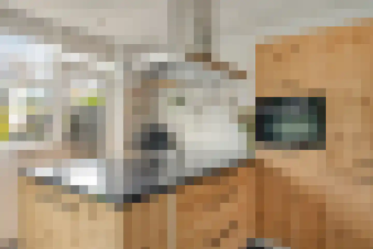 Blankertlaan 5 Uitgeest thumbnail 10