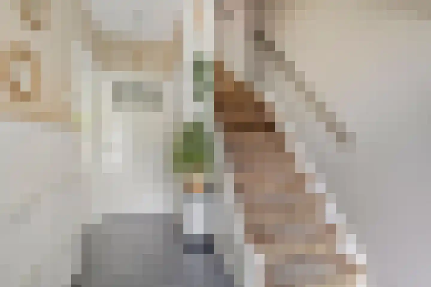 Blankertlaan 5 Uitgeest thumbnail 11