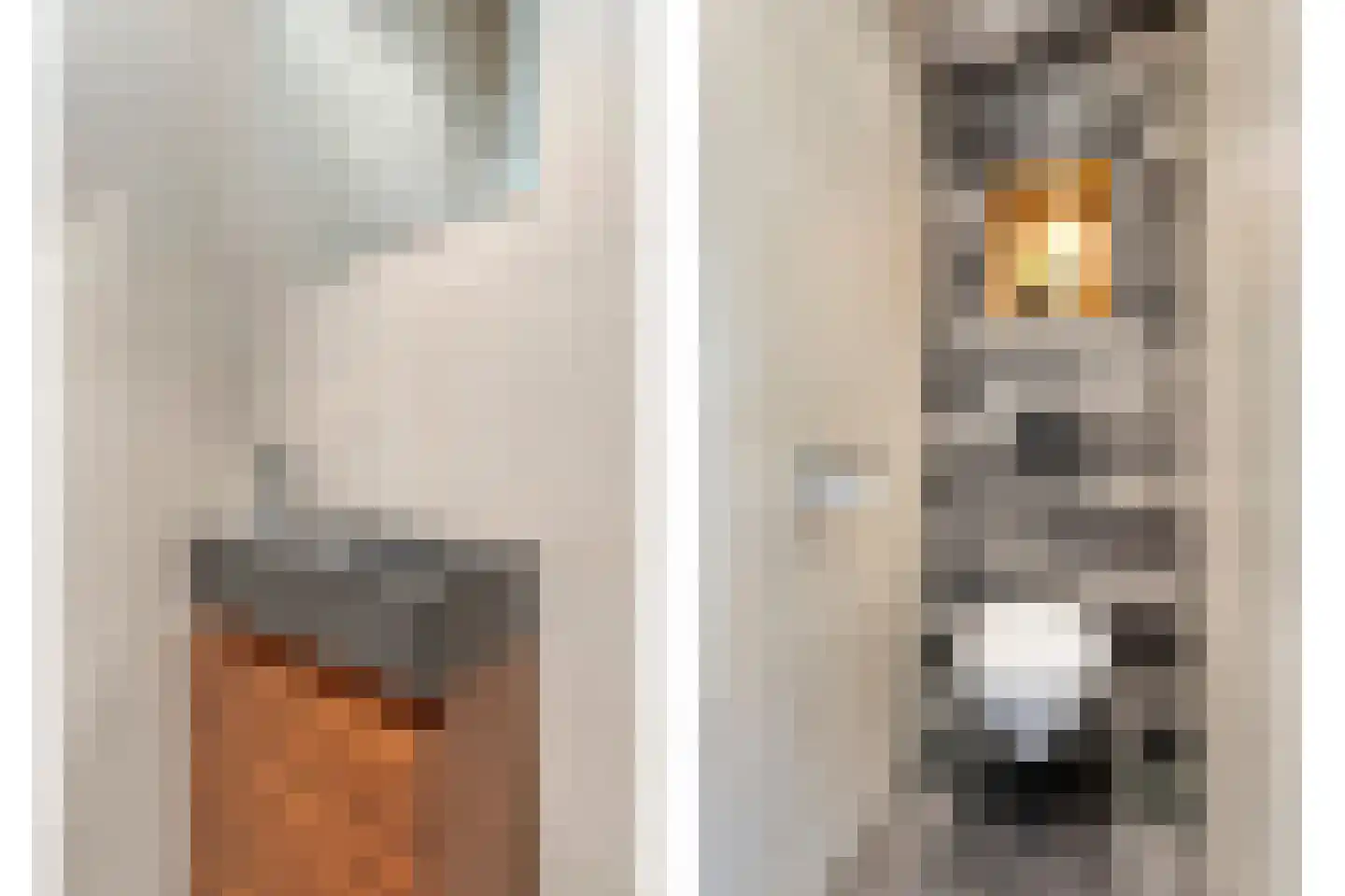 Blankertlaan 5 Uitgeest thumbnail 12
