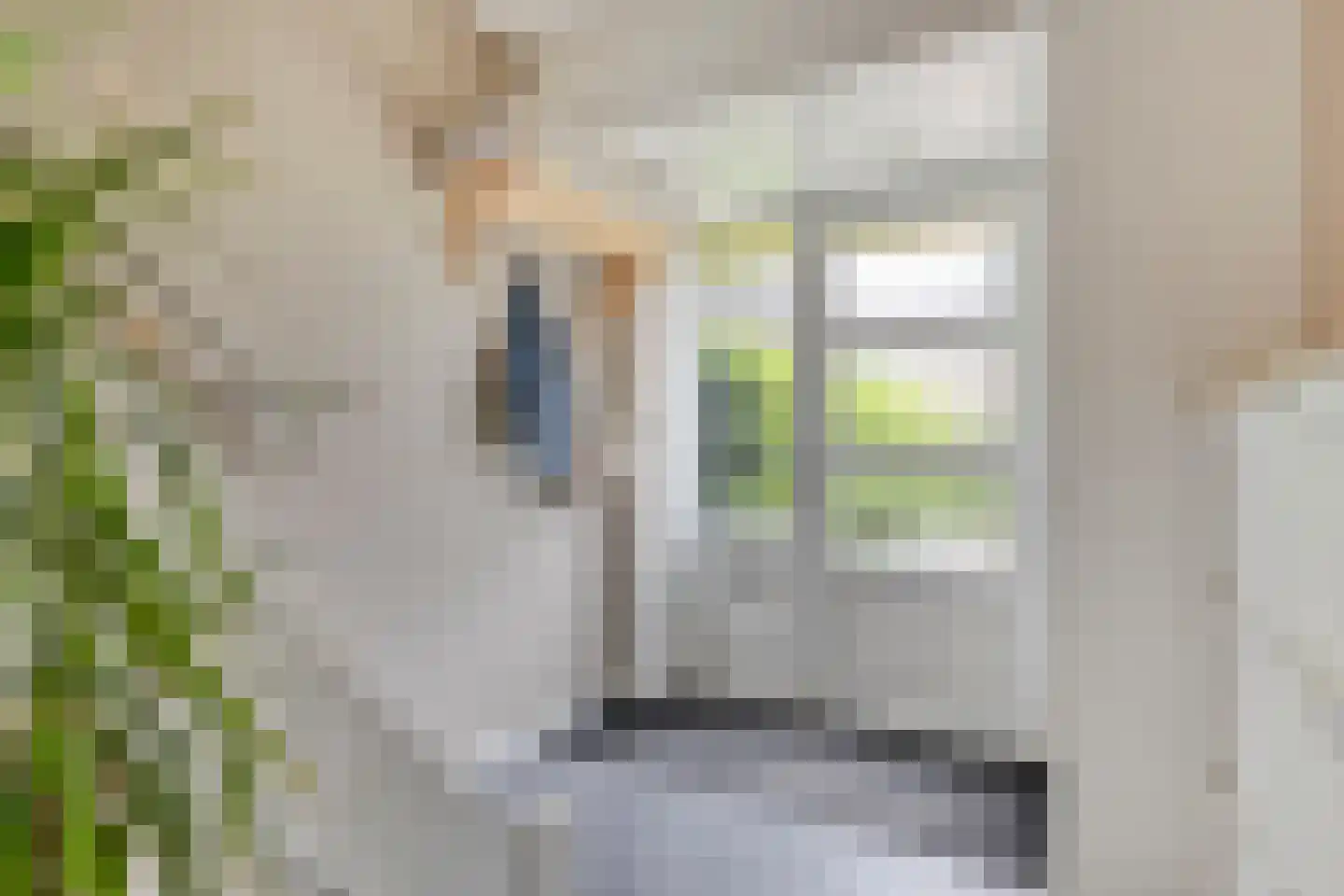 Blankertlaan 5 Uitgeest thumbnail 13