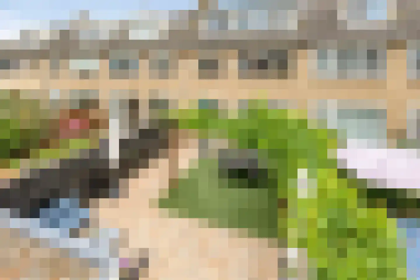 Blankertlaan 5 Uitgeest thumbnail 32