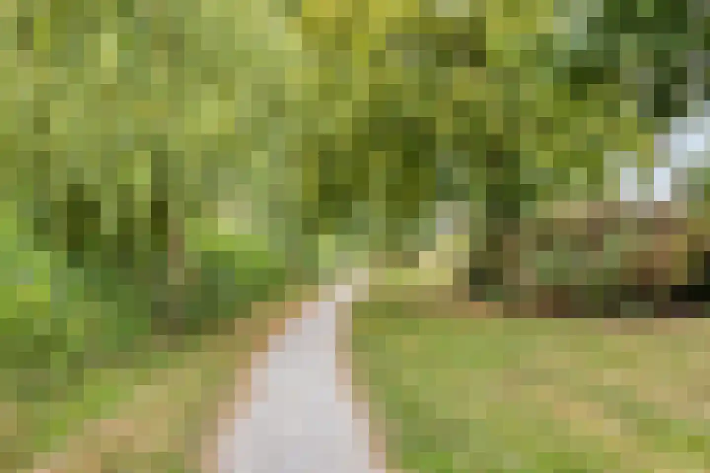 Blankertlaan 5 Uitgeest thumbnail 39
