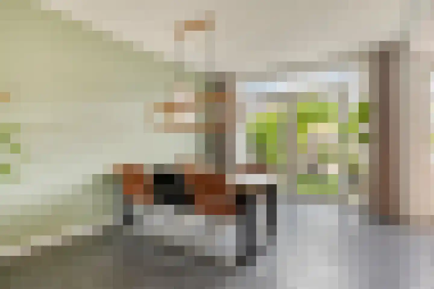Blankertlaan 5 Uitgeest thumbnail 5