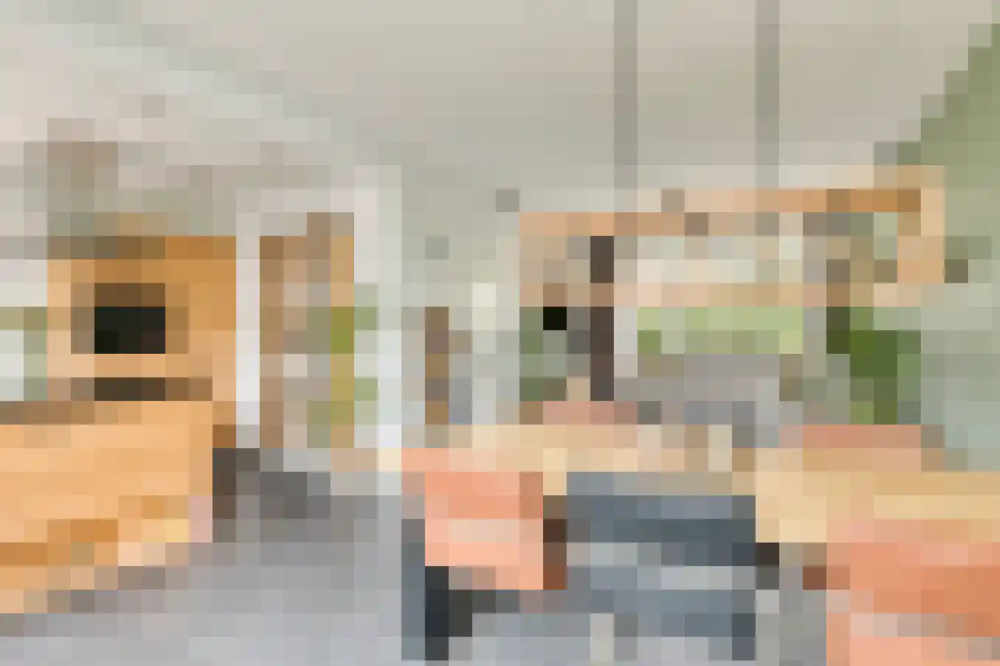 Blankertlaan 5 Uitgeest thumbnail 7