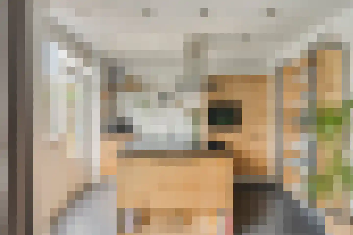 Blankertlaan 5 Uitgeest thumbnail 8