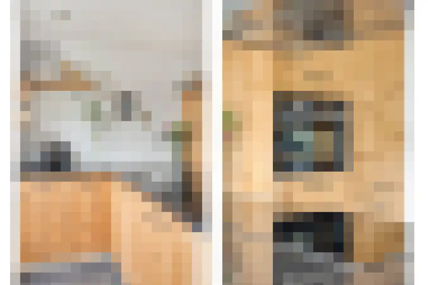 Blankertlaan 5 Uitgeest thumbnail 9
