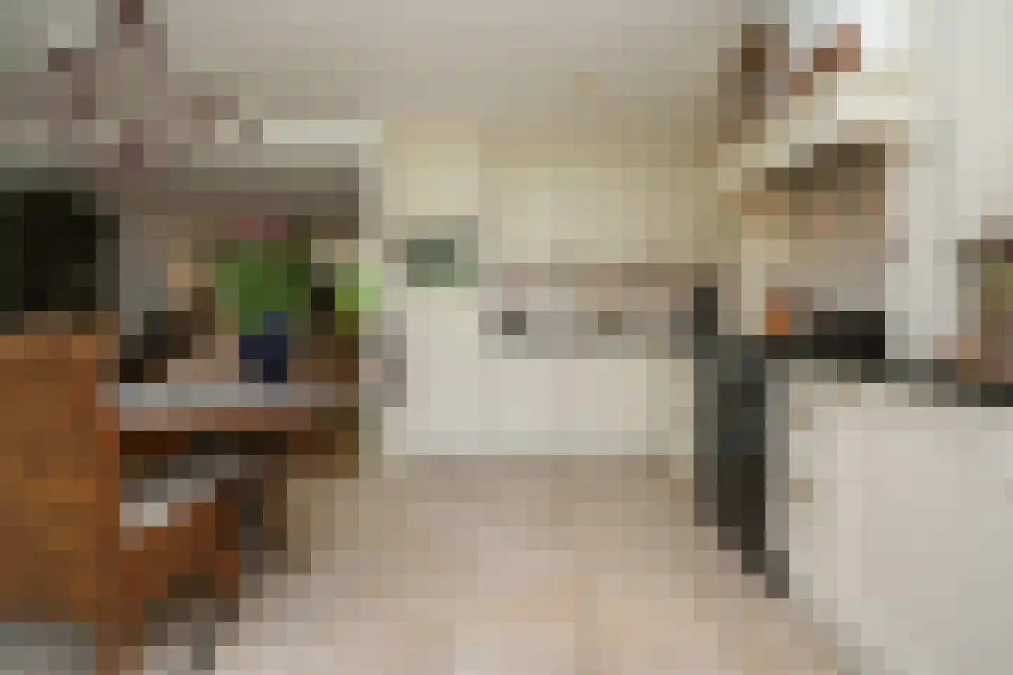 Blankertseweg 10 b Eck en Wiel thumbnail 11