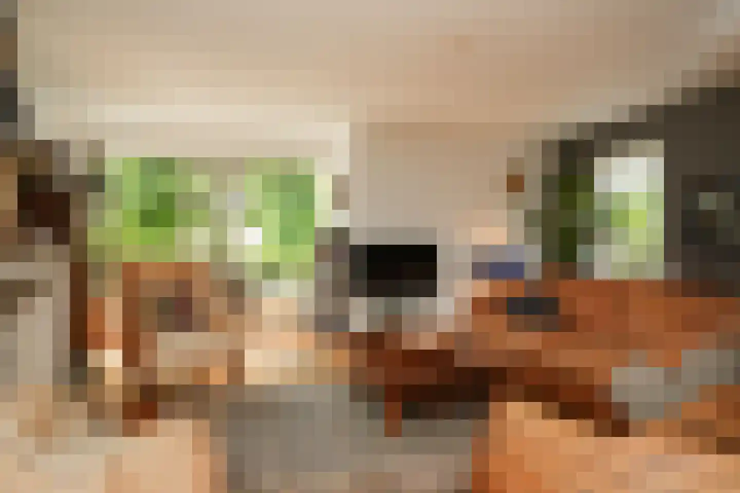 Blankertseweg 10 b Eck en Wiel thumbnail 16
