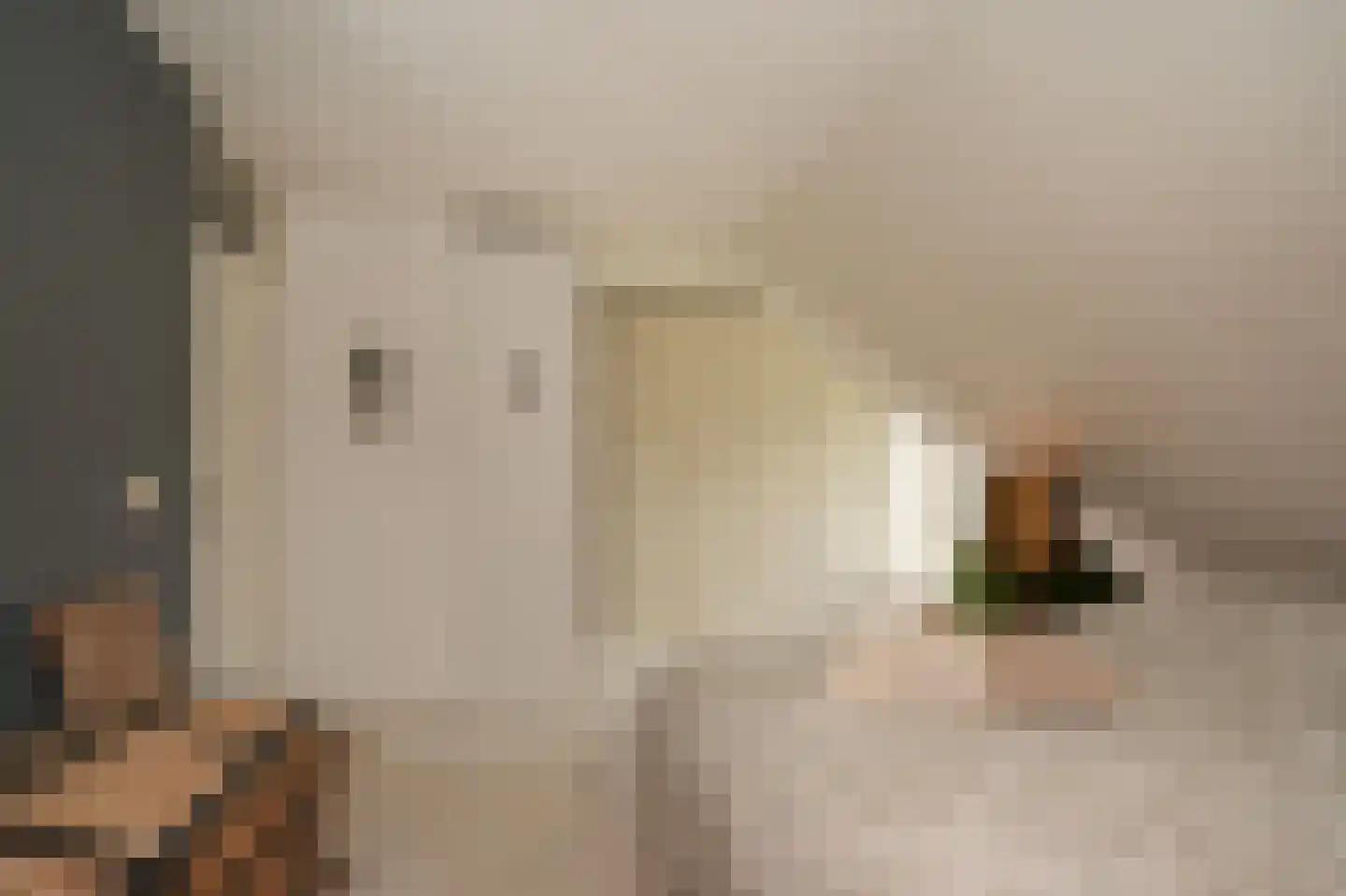 Blankertseweg 10 b Eck en Wiel thumbnail 21