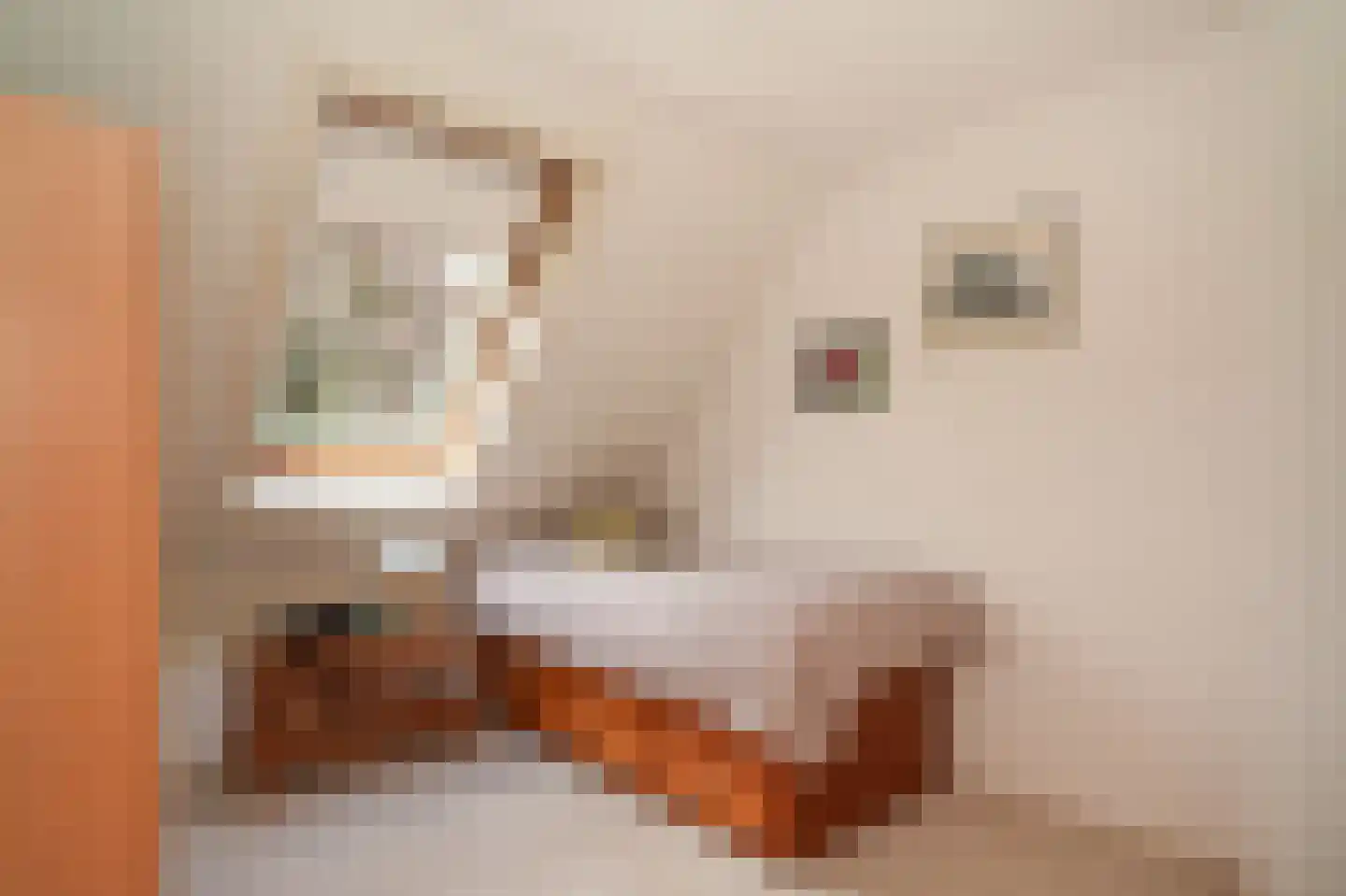 Blankertseweg 10 b Eck en Wiel thumbnail 28