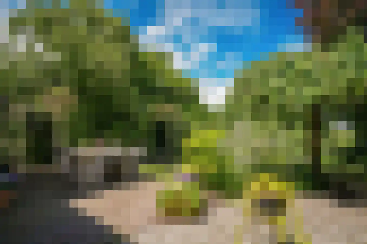 Blankertseweg 10 b Eck en Wiel thumbnail 33