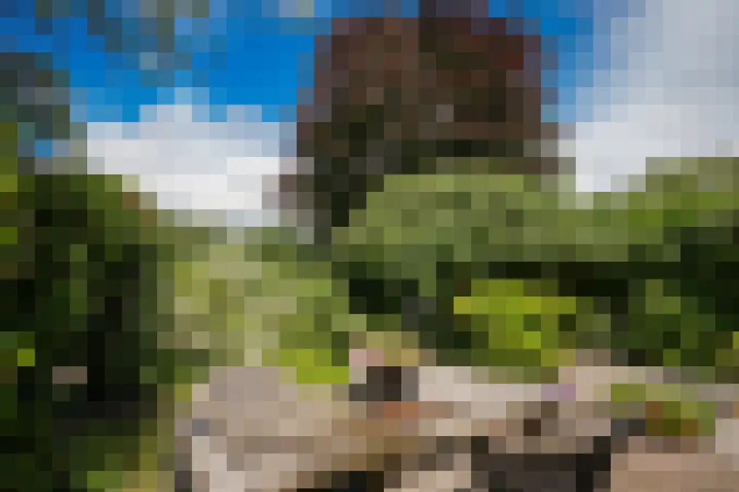 Blankertseweg 10 b Eck en Wiel thumbnail 35