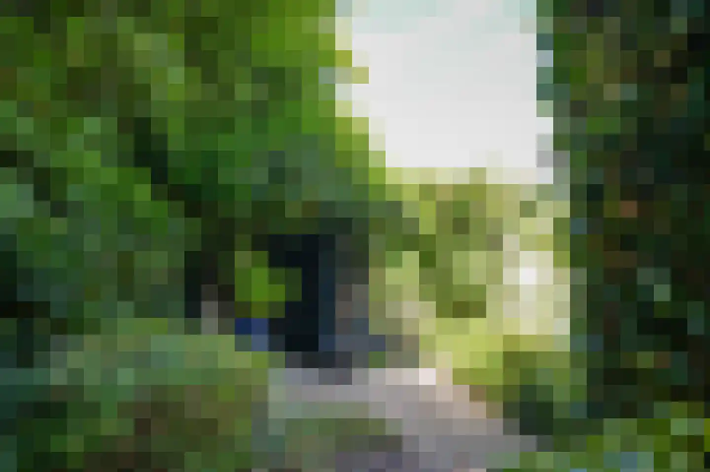 Blankertseweg 10 b Eck en Wiel thumbnail 36