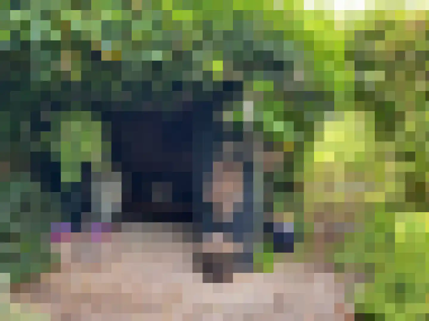 Blankertseweg 10 b Eck en Wiel thumbnail 37
