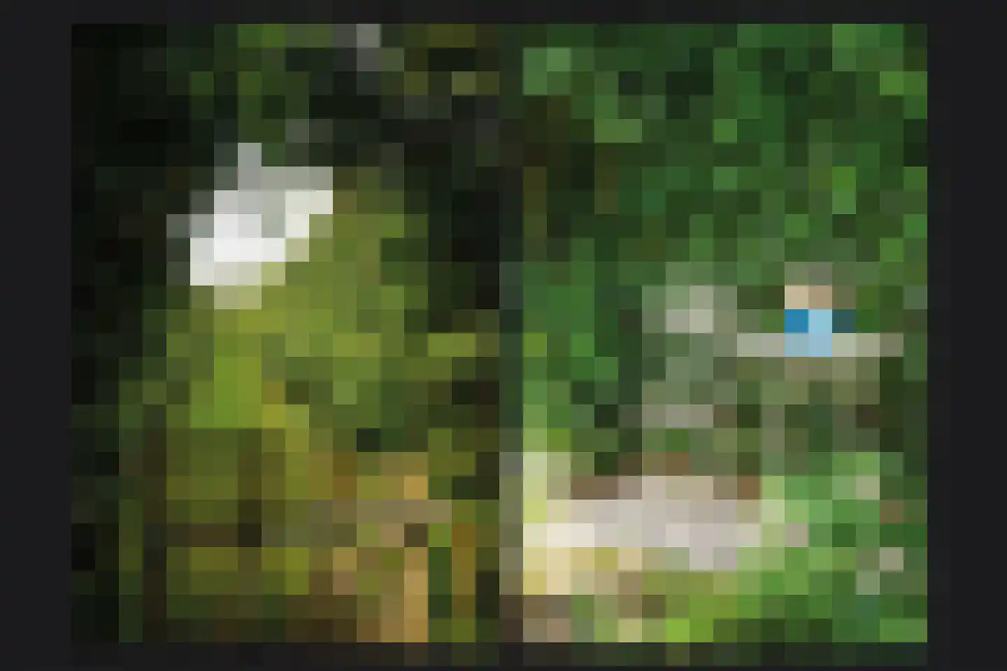 Blankertseweg 10 b Eck en Wiel thumbnail 38
