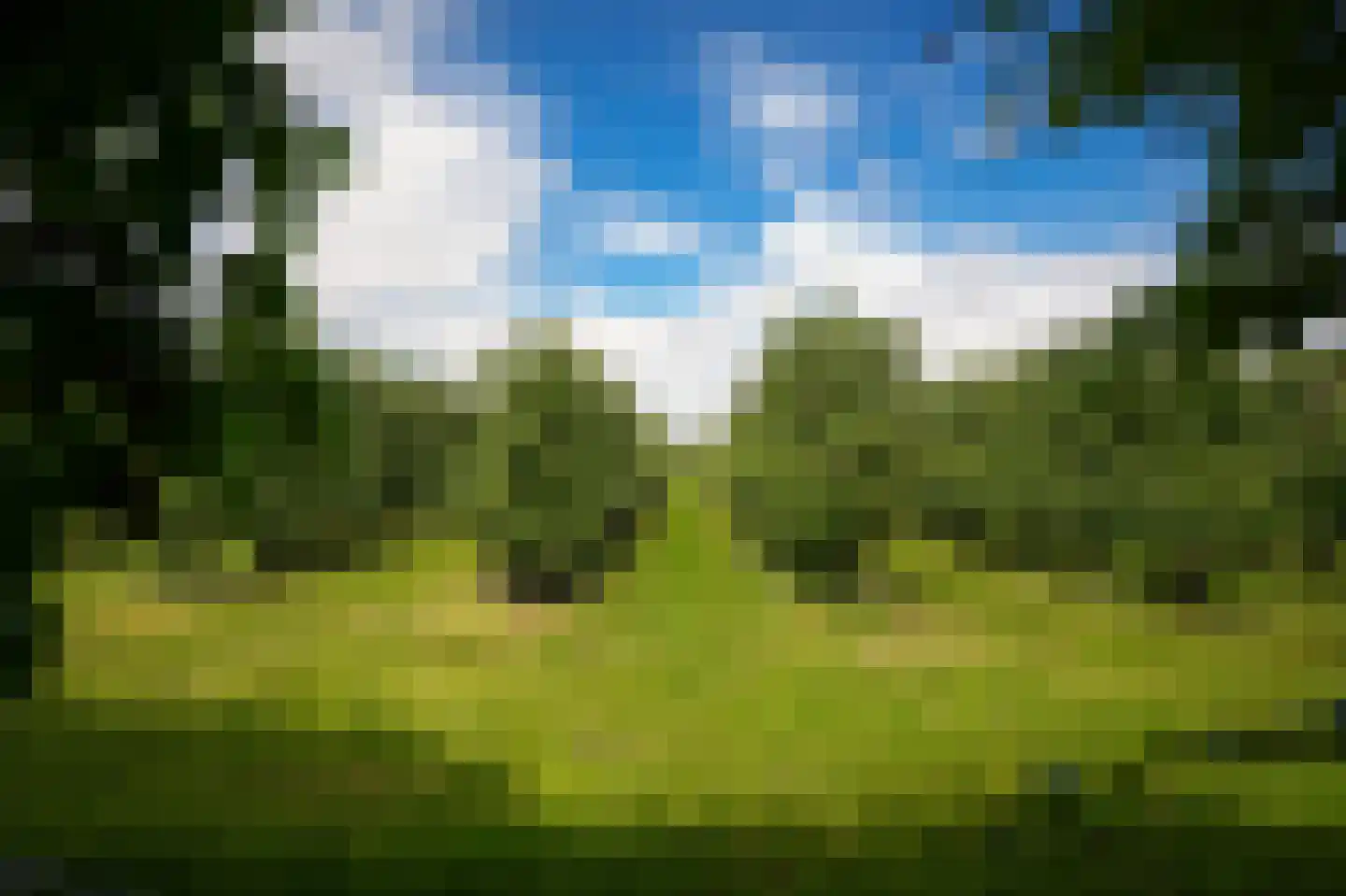 Blankertseweg 10 b Eck en Wiel thumbnail 39