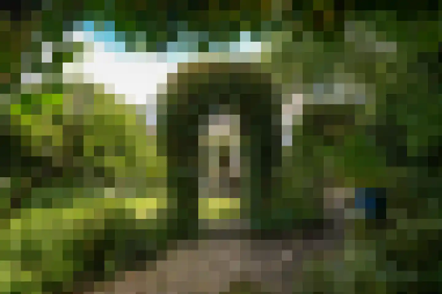 Blankertseweg 10 b Eck en Wiel thumbnail 40