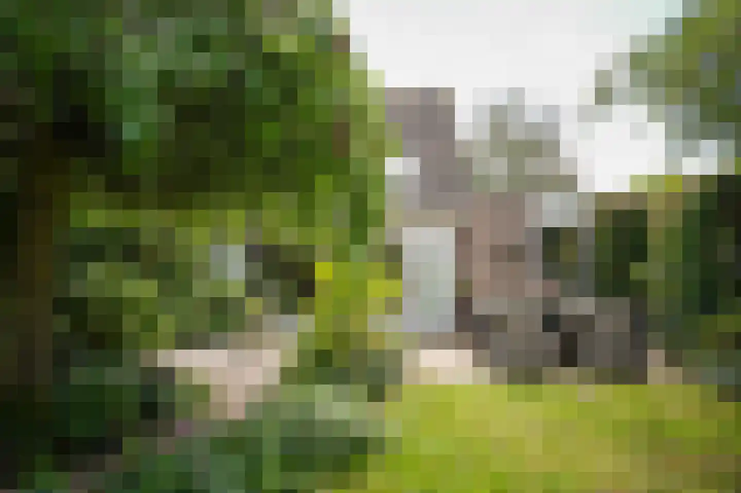 Blankertseweg 10 b Eck en Wiel thumbnail 41