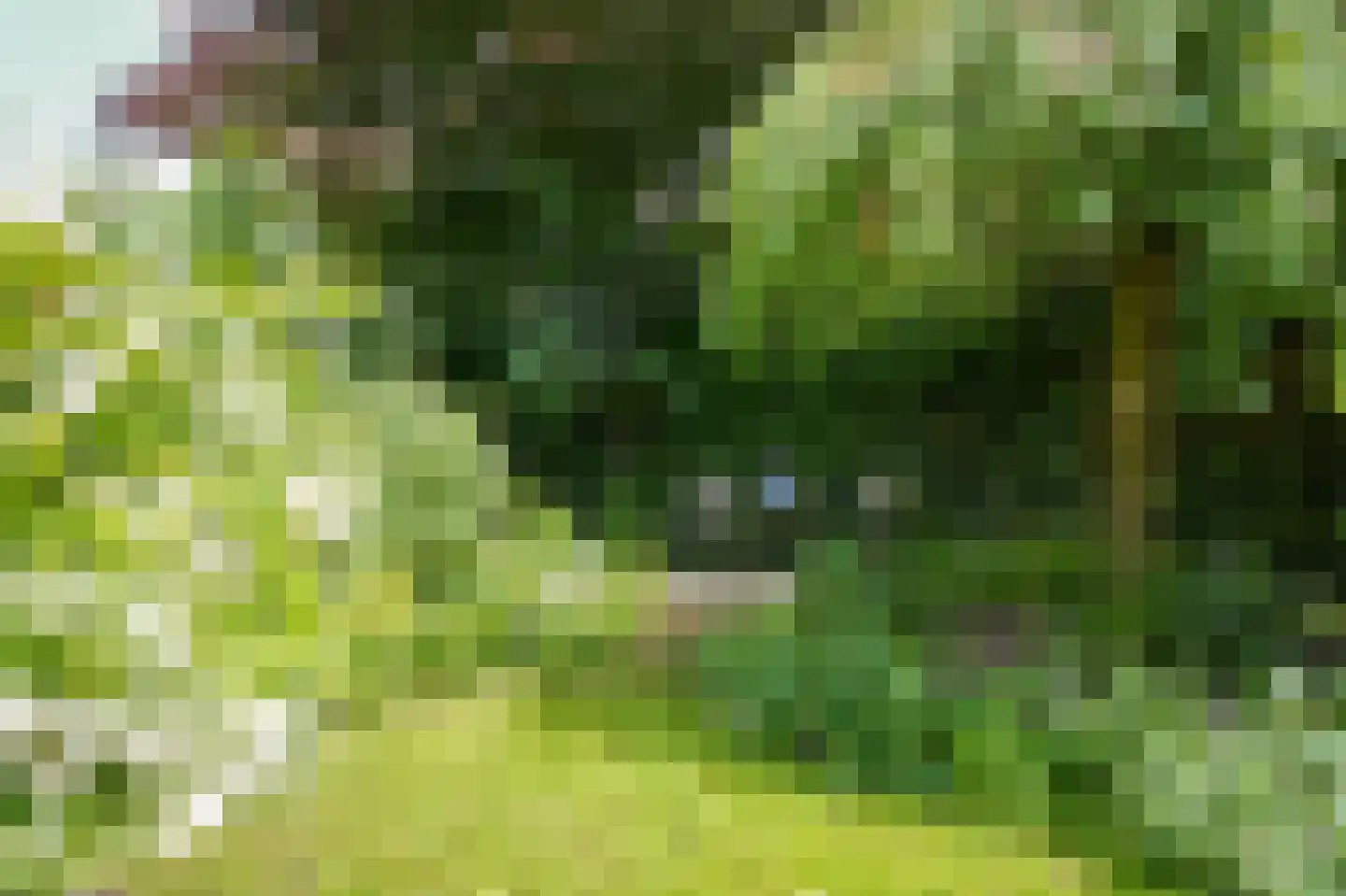 Blankertseweg 10 b Eck en Wiel thumbnail 43
