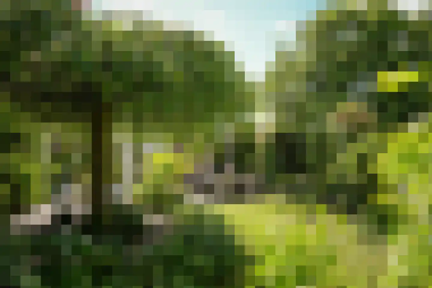Blankertseweg 10 b Eck en Wiel thumbnail 44