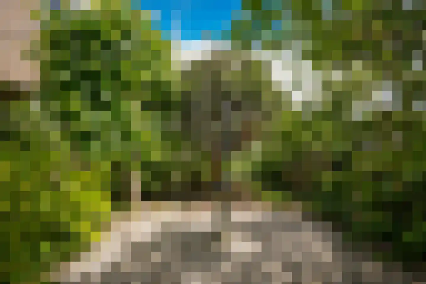 Blankertseweg 10 b Eck en Wiel thumbnail 47