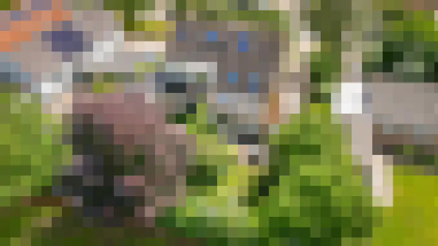 Blankertseweg 10 b Eck en Wiel thumbnail 53