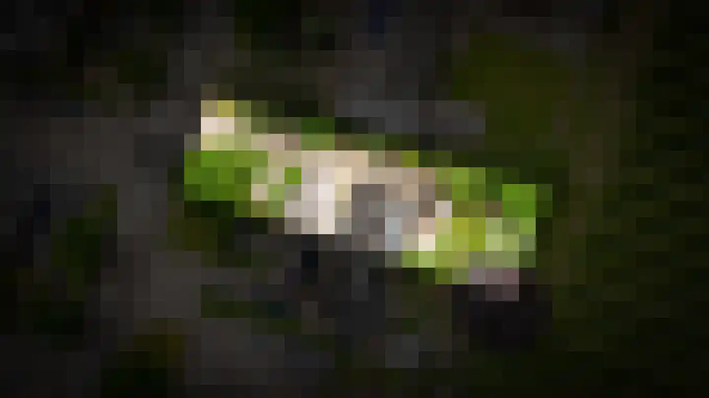 Blankertseweg 10 b Eck en Wiel thumbnail 54