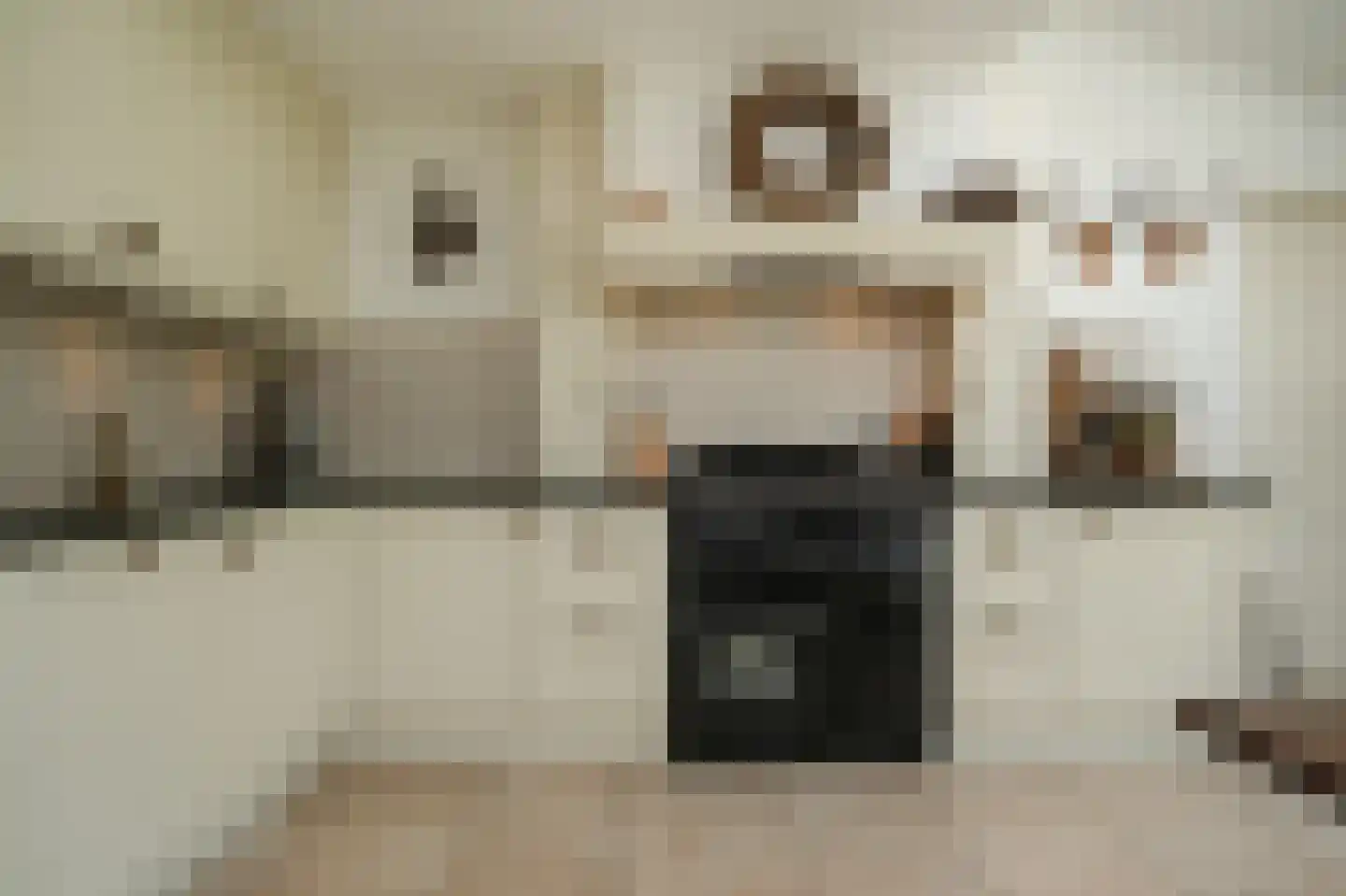Blankertseweg 10 b Eck en Wiel thumbnail 9