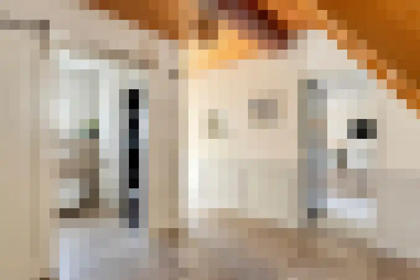 Blankertseweg 10 Eck en Wiel thumbnail 10