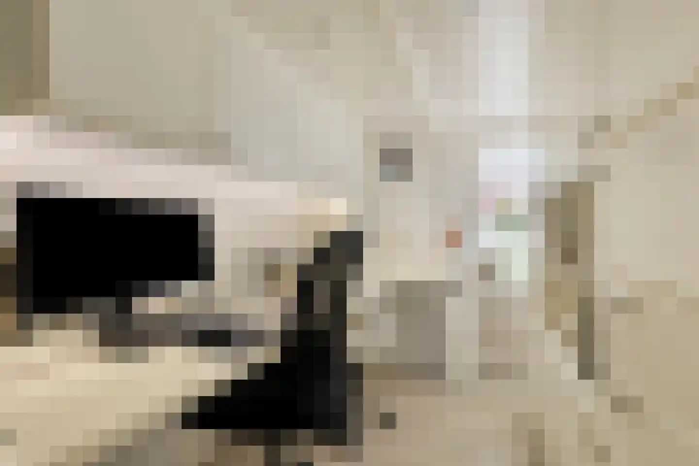 Blankertseweg 10 Eck en Wiel thumbnail 16