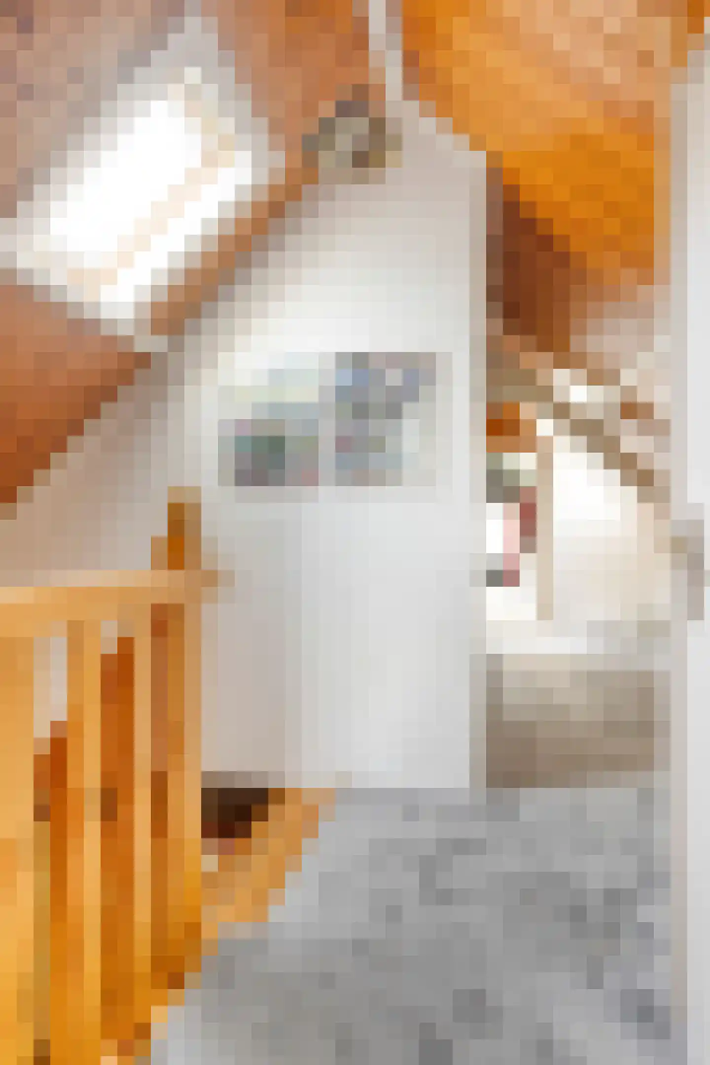 Blankertseweg 10 Eck en Wiel thumbnail 25