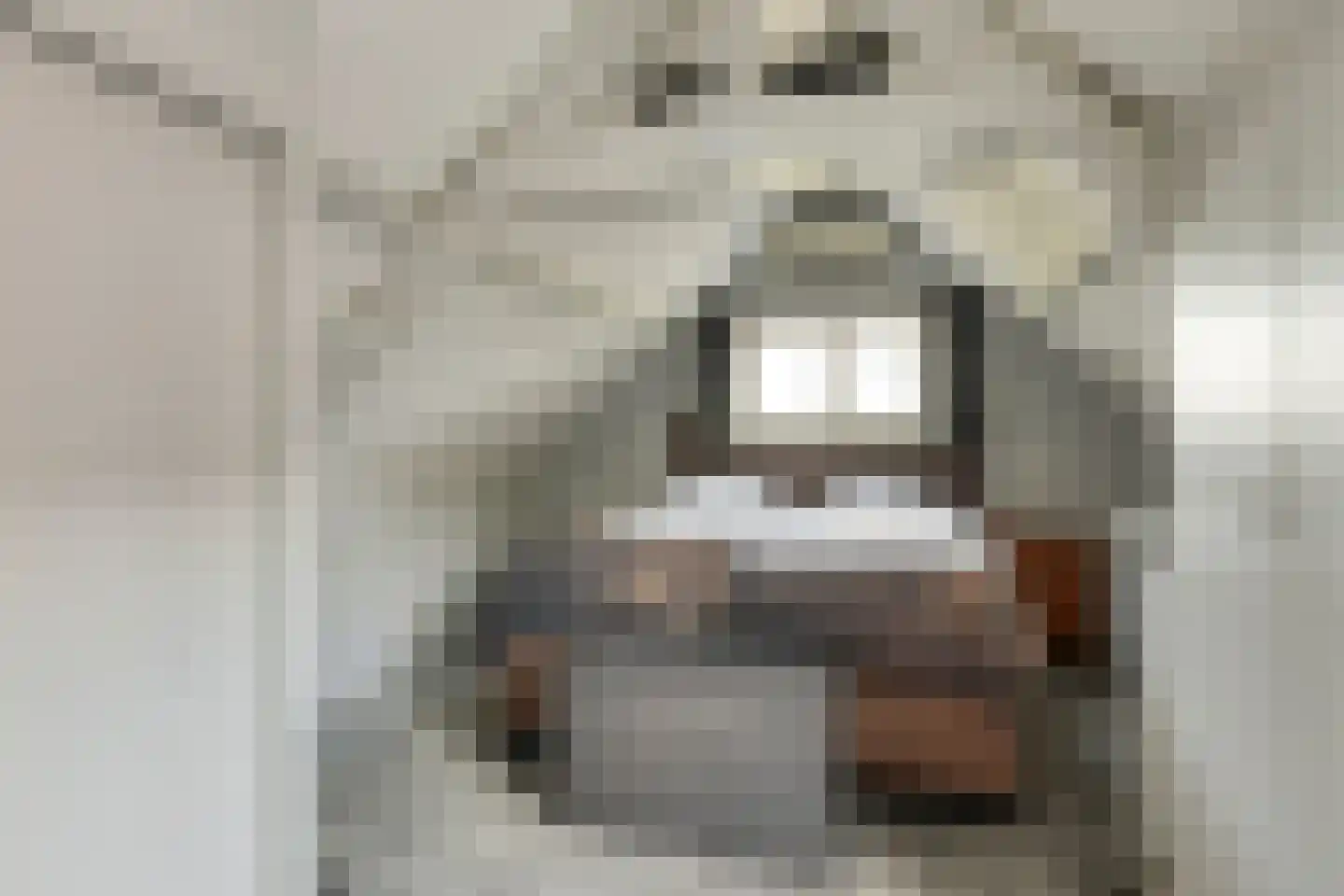 Blankertseweg 10 Eck en Wiel thumbnail 26