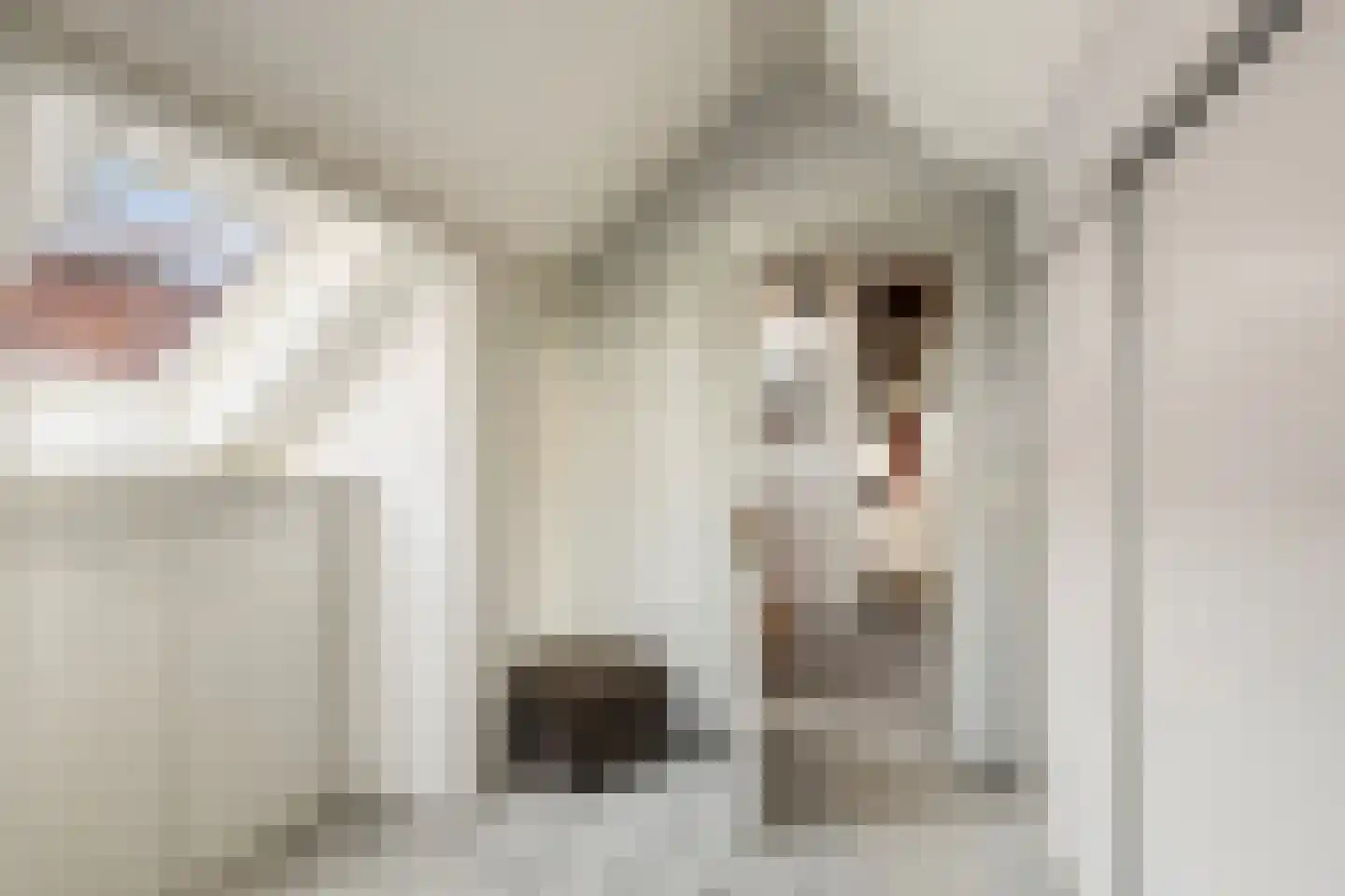 Blankertseweg 10 Eck en Wiel thumbnail 27