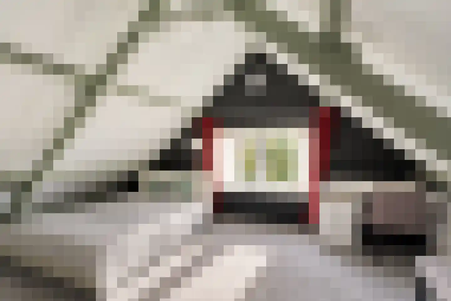 Blankertseweg 10 Eck en Wiel thumbnail 28