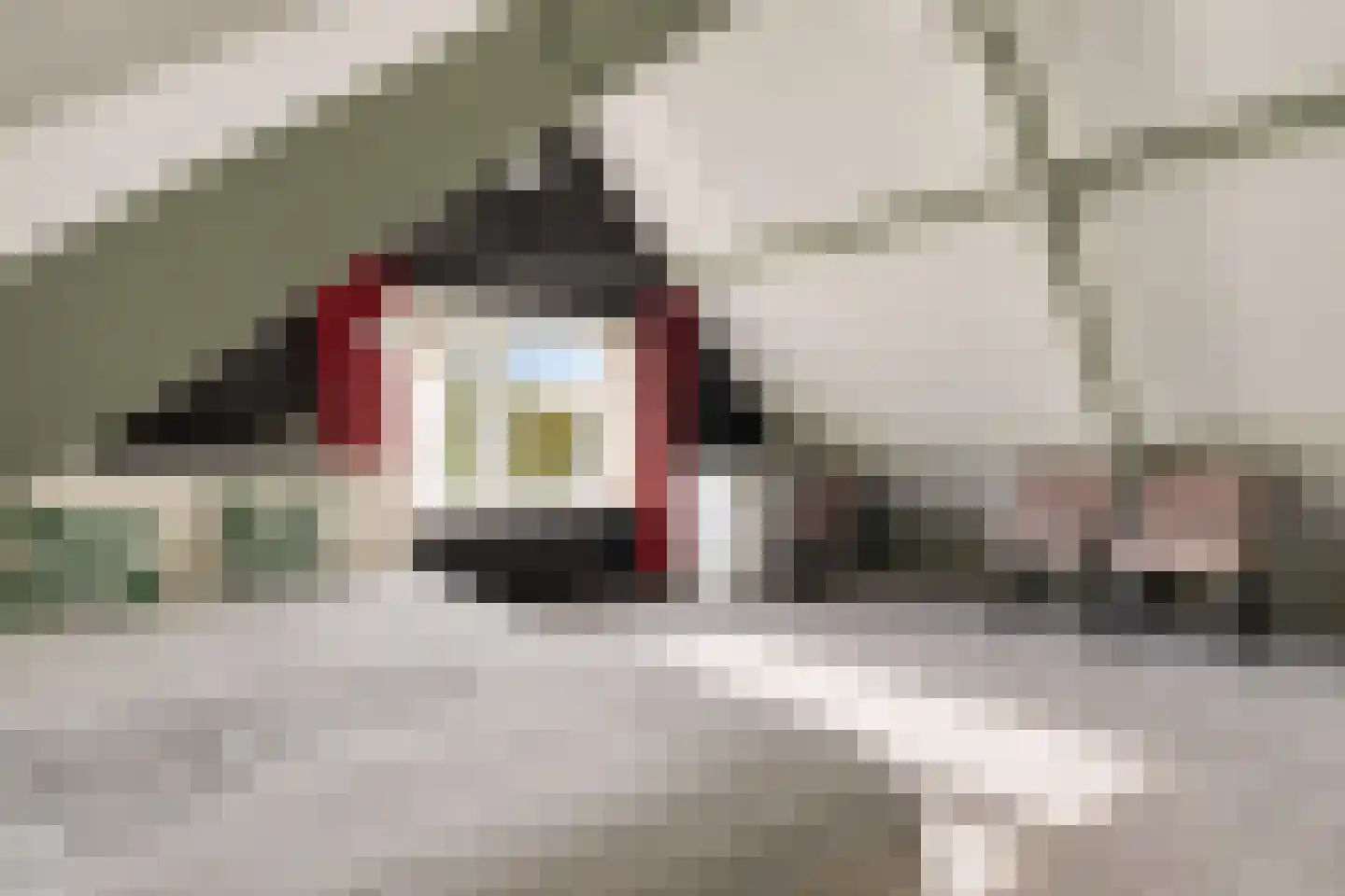 Blankertseweg 10 Eck en Wiel thumbnail 29