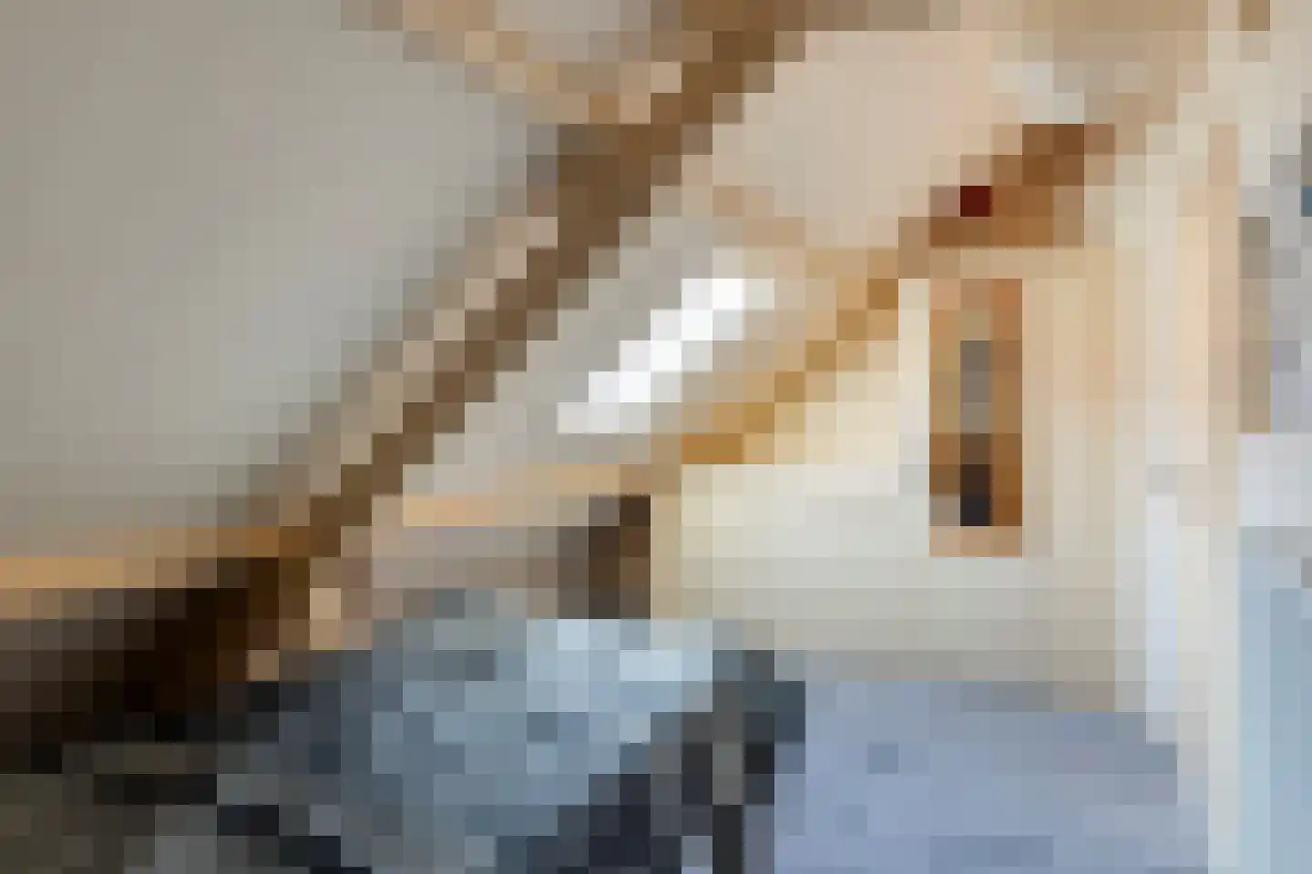 Blankertseweg 10 Eck en Wiel thumbnail 31