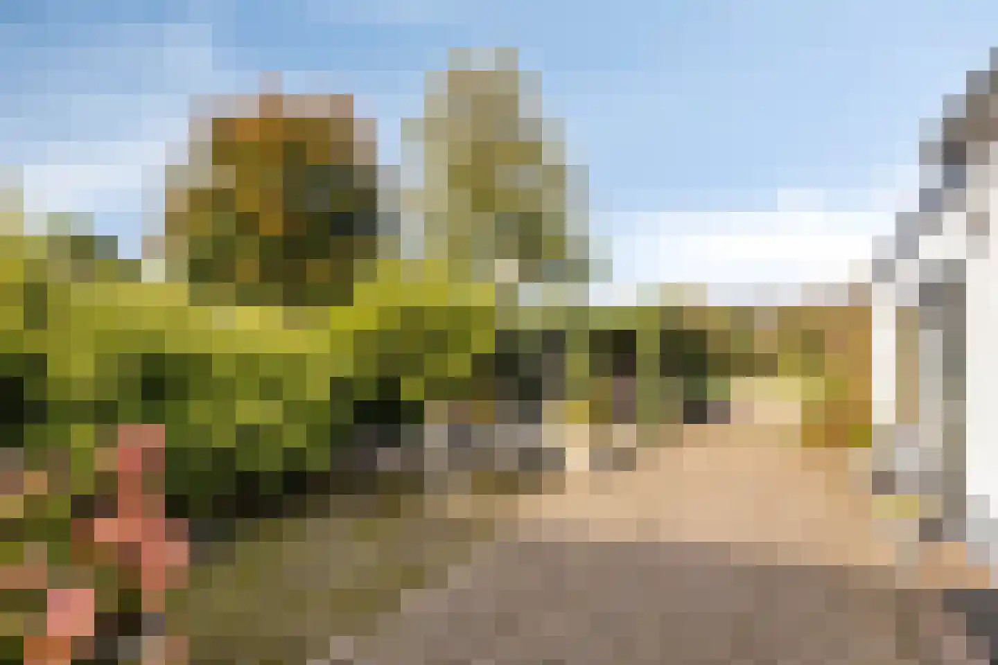Blankertseweg 10 Eck en Wiel thumbnail 32