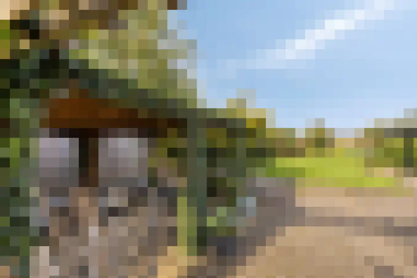 Blankertseweg 10 Eck en Wiel thumbnail 34