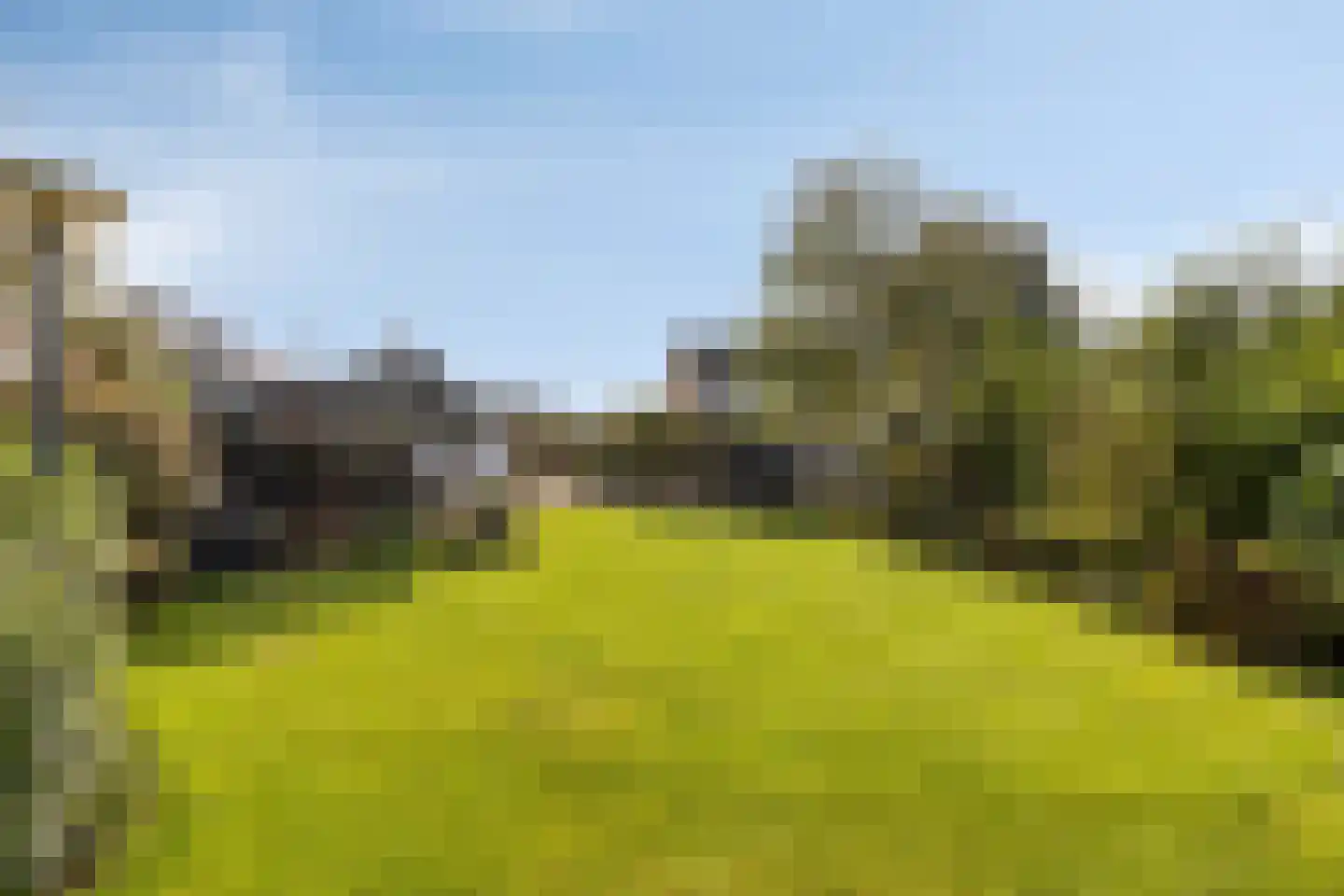 Blankertseweg 10 Eck en Wiel thumbnail 42