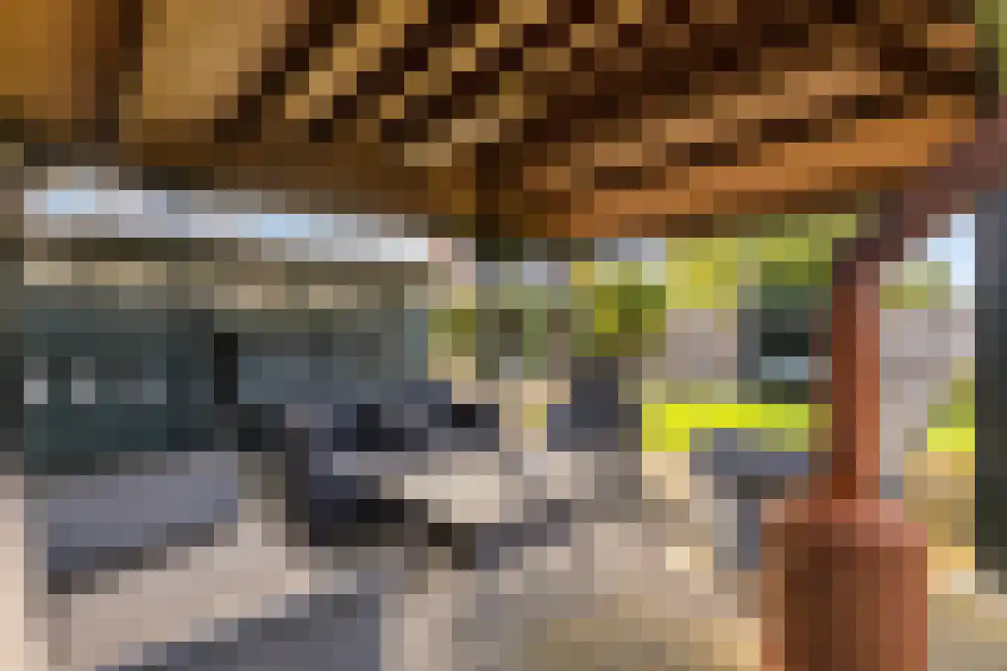 Blankertseweg 10 Eck en Wiel thumbnail 43