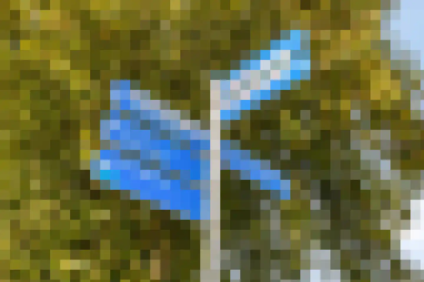 Blankertseweg 10 Eck en Wiel thumbnail 46