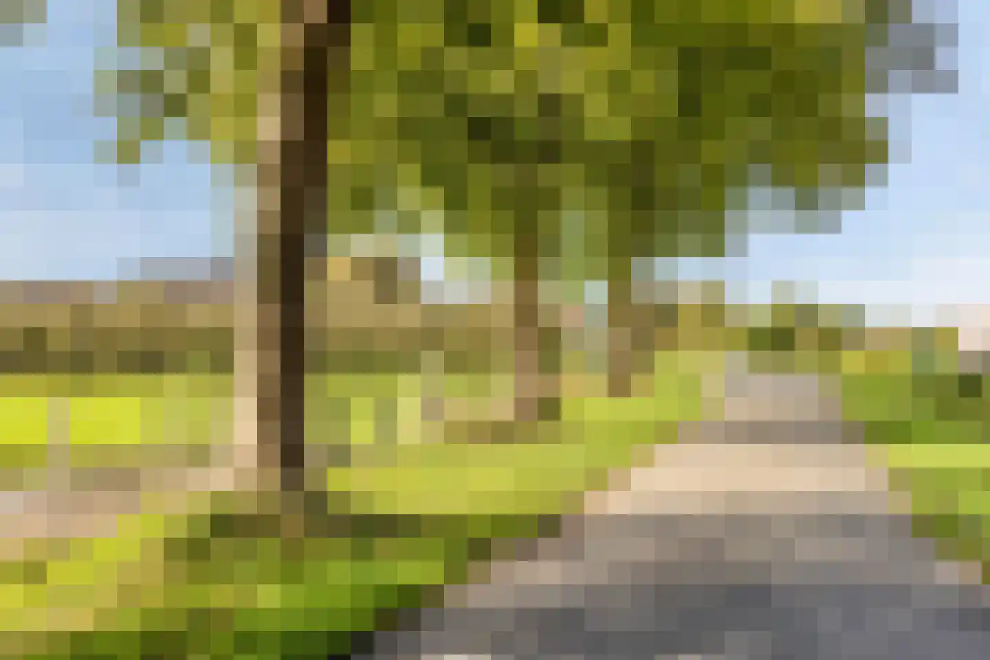 Blankertseweg 10 Eck en Wiel thumbnail 47