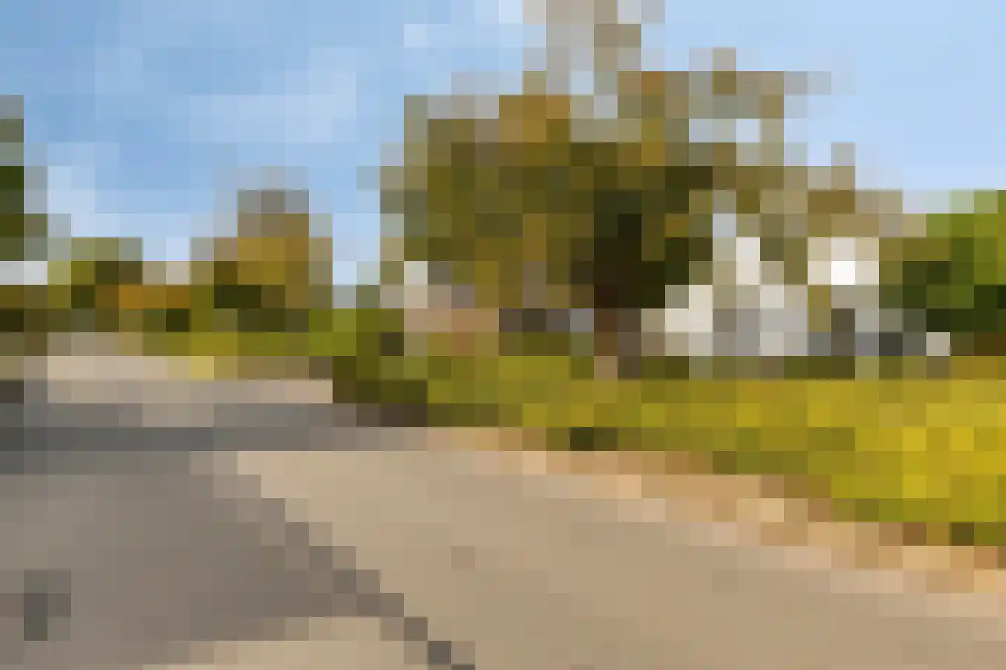 Blankertseweg 10 Eck en Wiel thumbnail 50