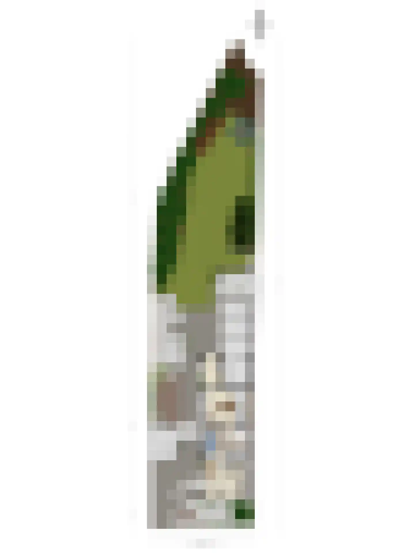 Blankertseweg 10 Eck en Wiel thumbnail 58