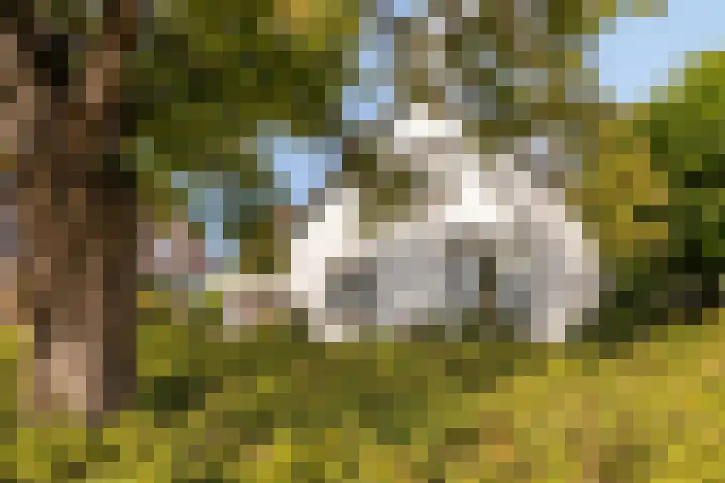 Blankertseweg 10 Eck en Wiel thumbnail 7