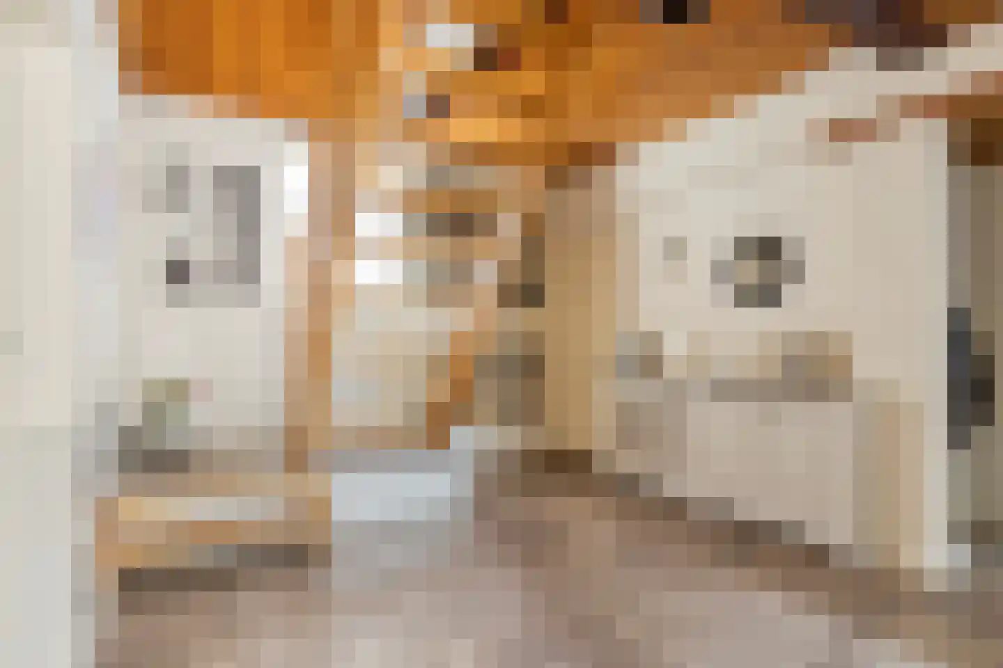 Blankertseweg 10 Eck en Wiel thumbnail 9