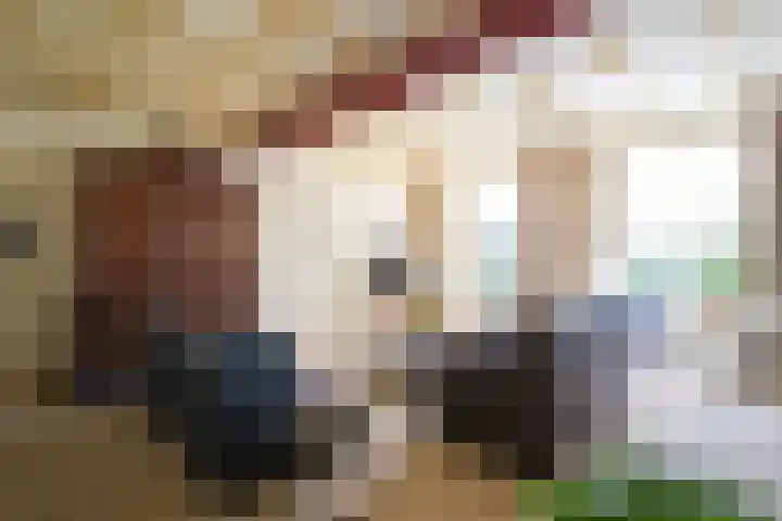 Blankertseweg 8 Meteren thumbnail 18
