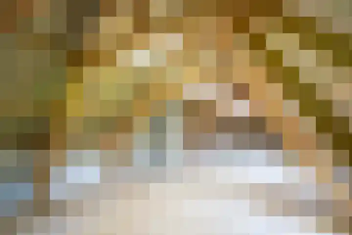 Blankertseweg 8 Meteren thumbnail 31